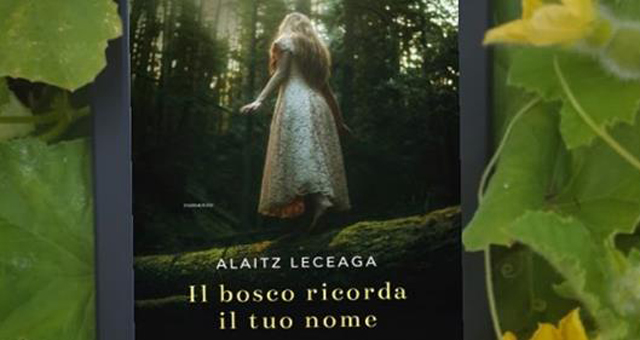 Il colore dei libri