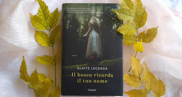 Twinsbookslovers.blogspot